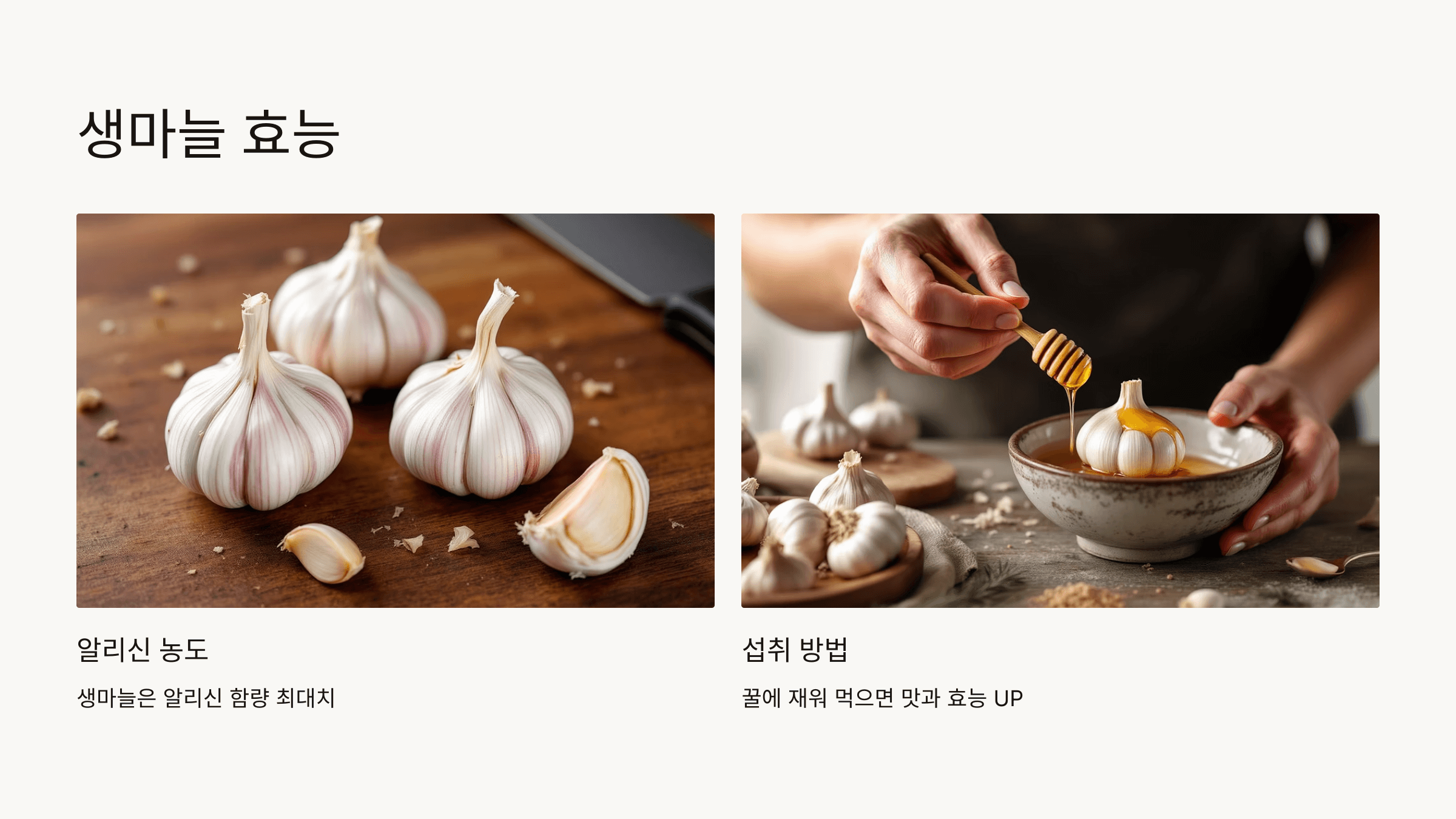 마늘 사진입니다.