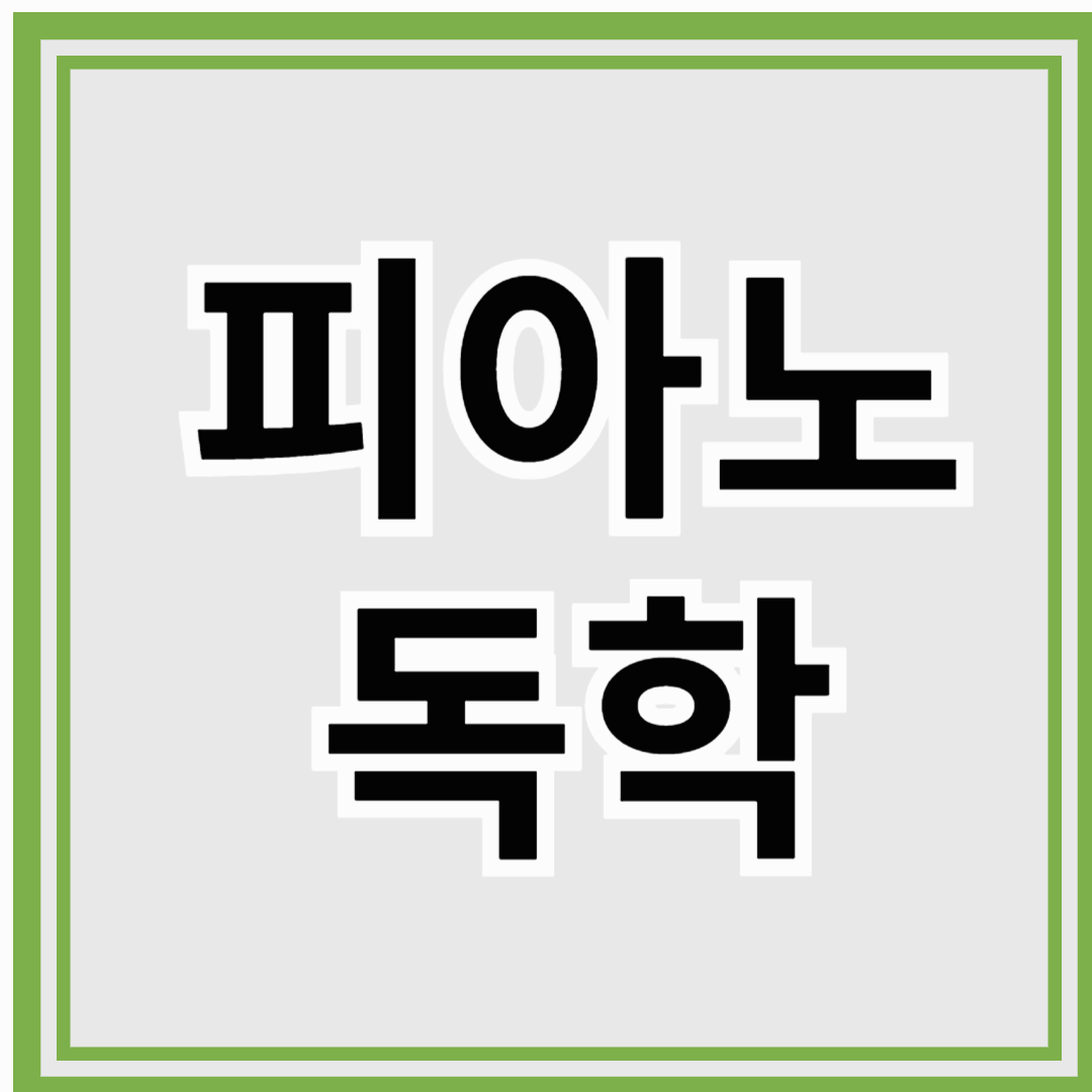 성인 학습자를 위한 체계적인 가이드가 제공됩니다.