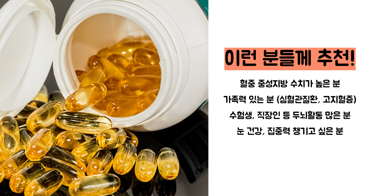 알티지 오메가3
