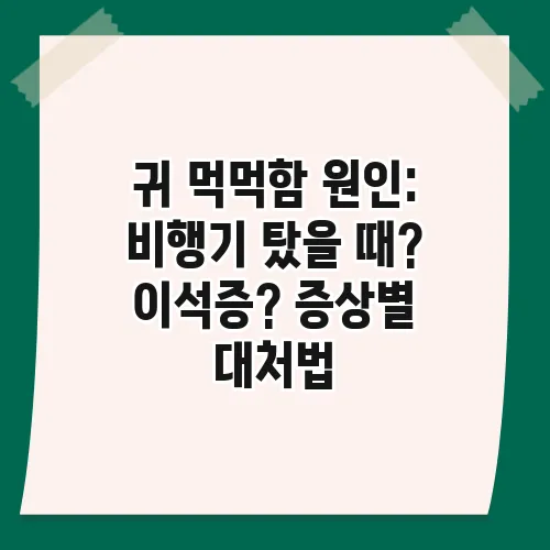 귀 먹먹함 원인: 비행기 탔을 때? 이석증? 증상별 대처법