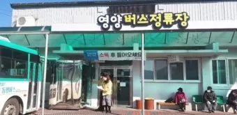영양 시외버스터미널 시간표 예매 요금_29