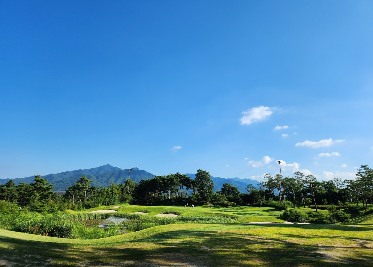 강원도 알프스대영CC 골프장 소개