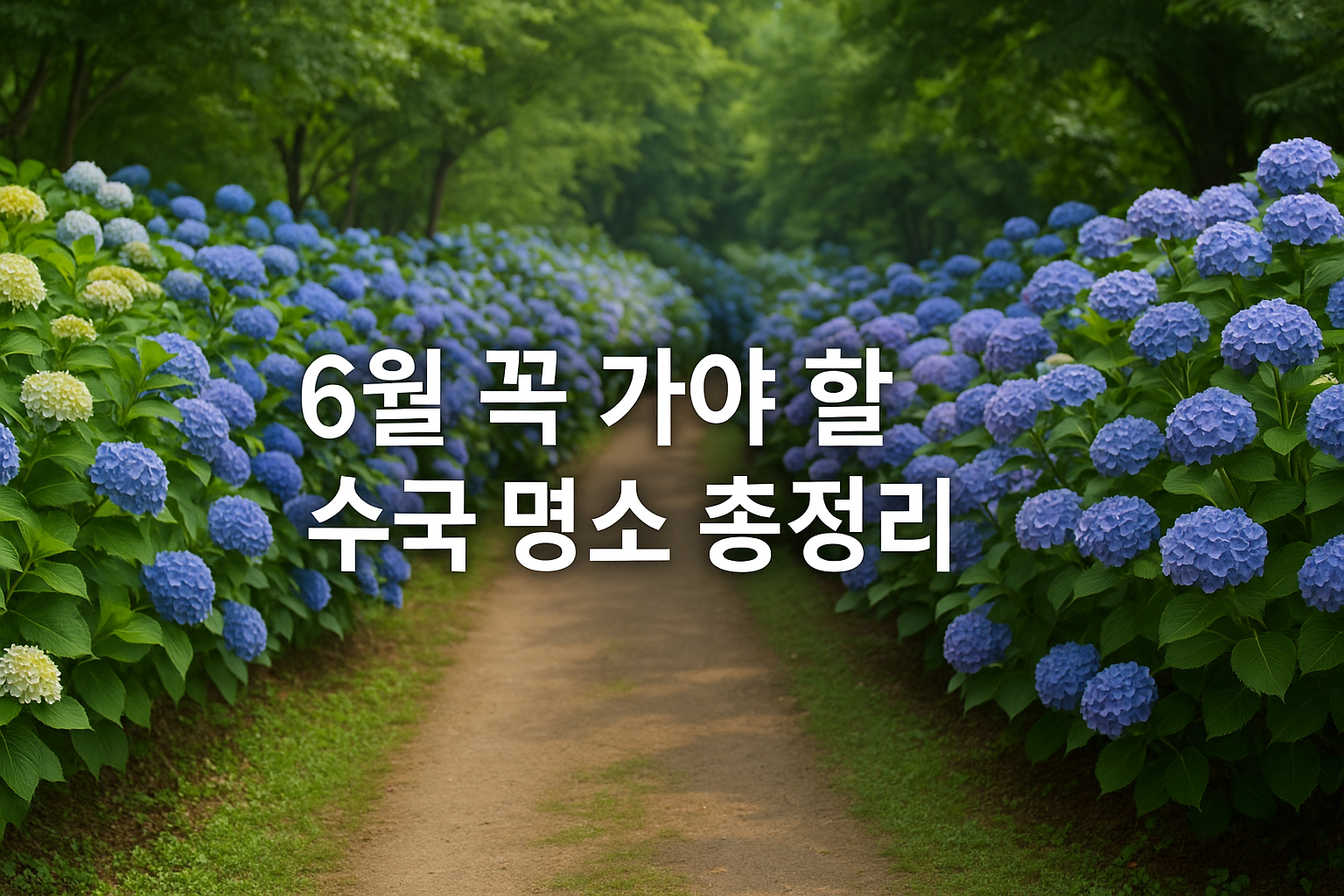제주도 종달리 수국길, 6월 꼭 가야 할 수국 명소 총정리