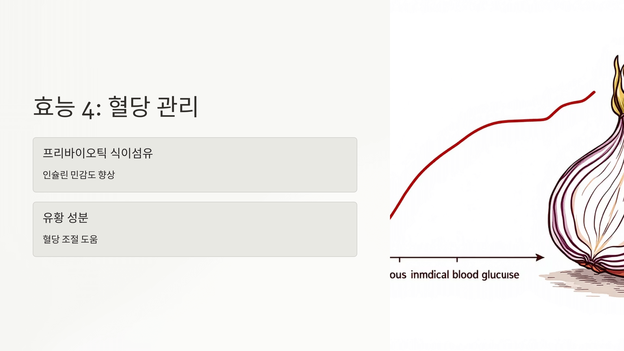 양파 사진입니다.