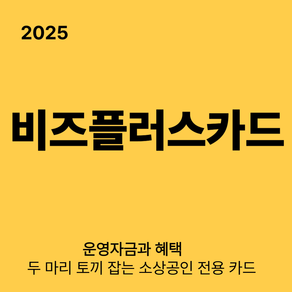 2025 비즈플러스 카드 신청｜운영자금과 혜택, 두 마리 토끼 잡는 소상공인 전용 카드