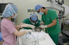 편도염 빨리 낫는법