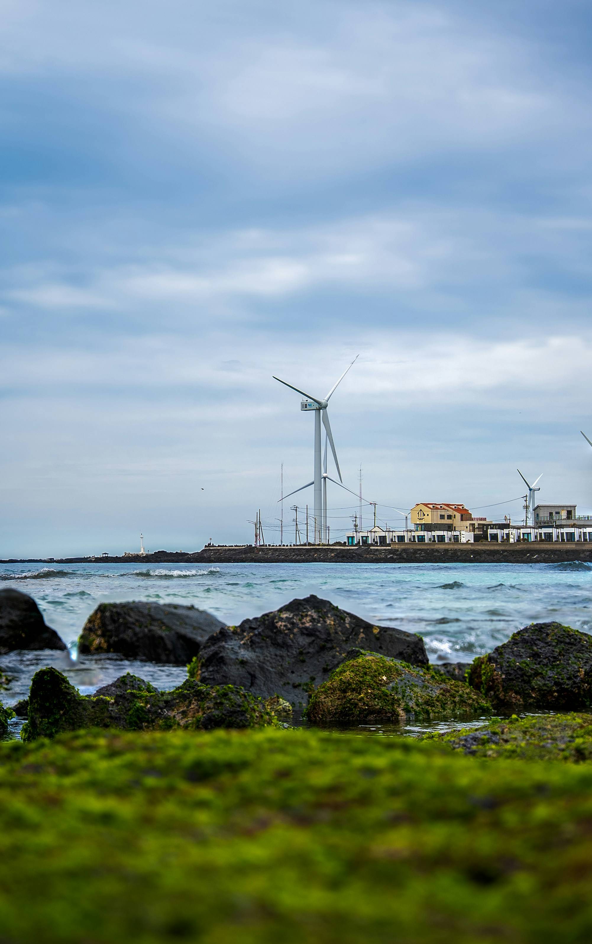 우리나라 이미지