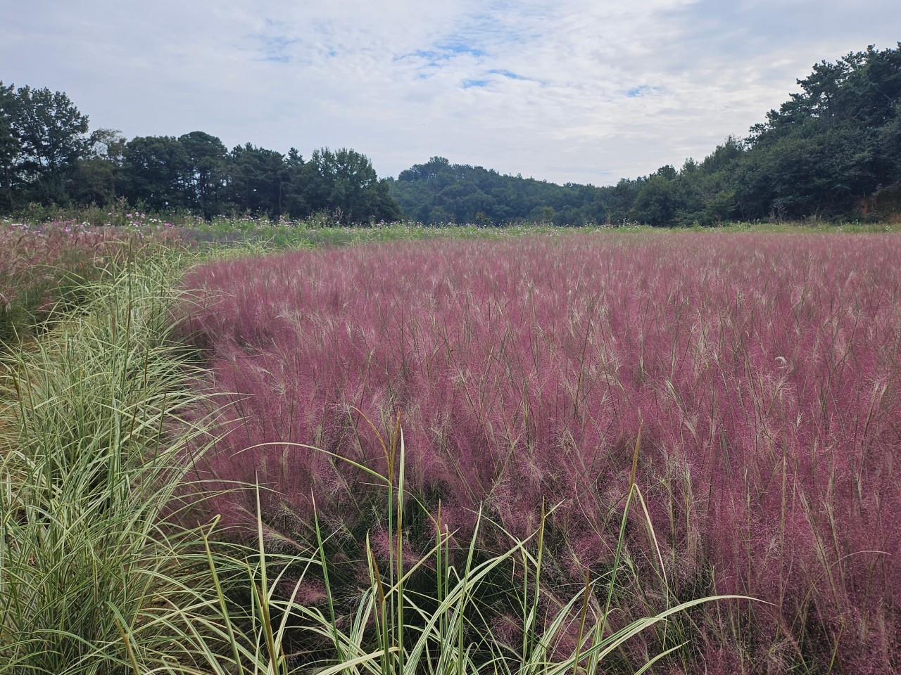 용안생태습지공원 카페