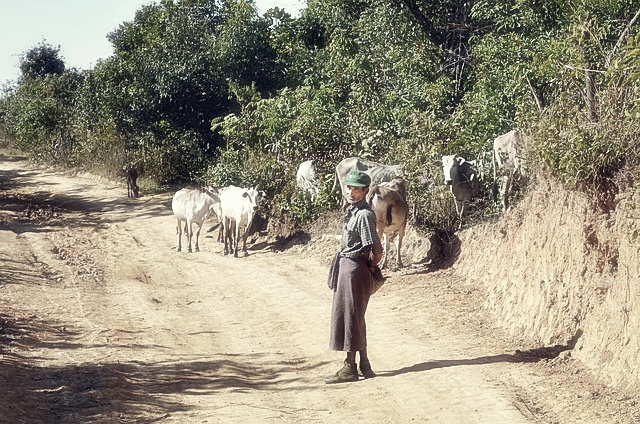 대상홀딩스 주가분석