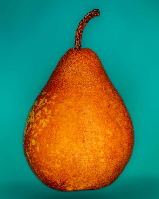 돌배주-담그기-효능-관련-사진