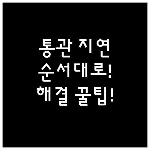 통관 지연 발생 시 관세사 소통 및 ..