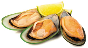 뉴질랜드 녹색 홍합