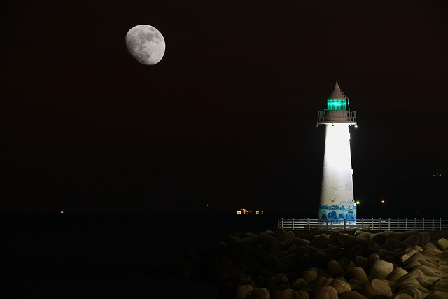 해운대 해변열차