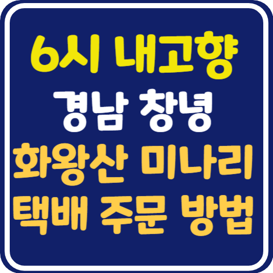 6시 내고향 창녕 미나리 택배 주문 방법