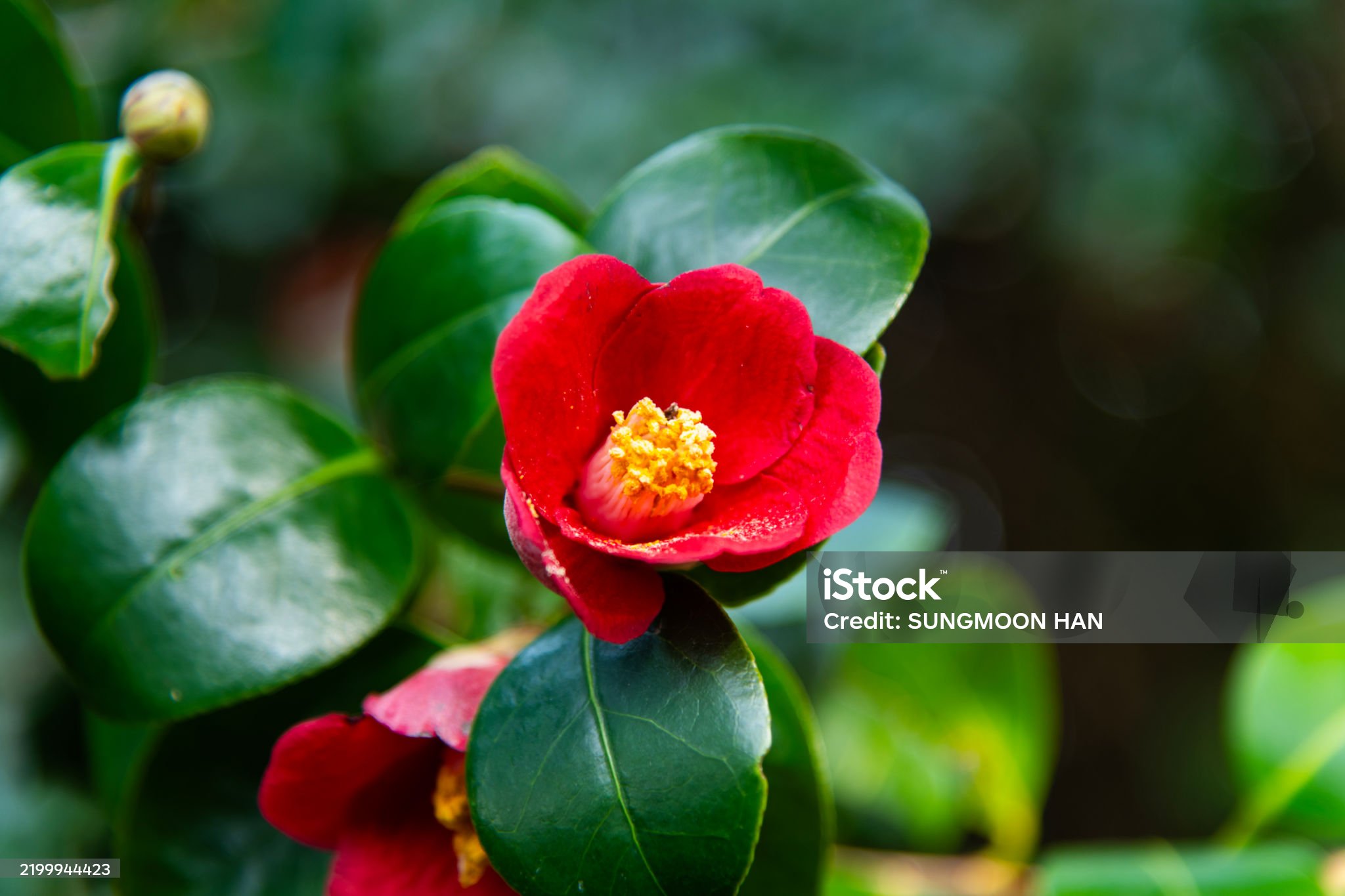 경남 여행 - 통영