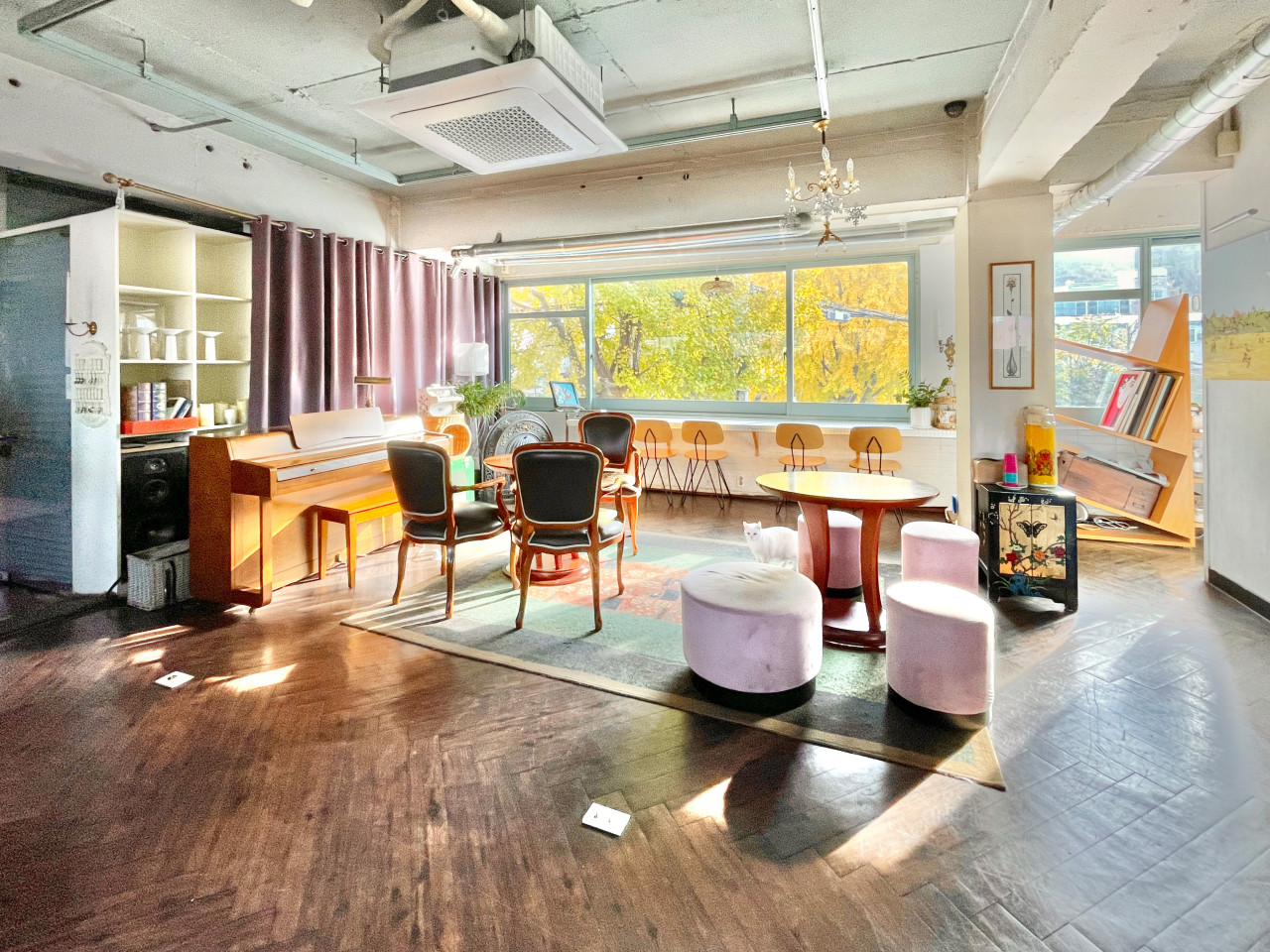 부암동 제비꽃다방