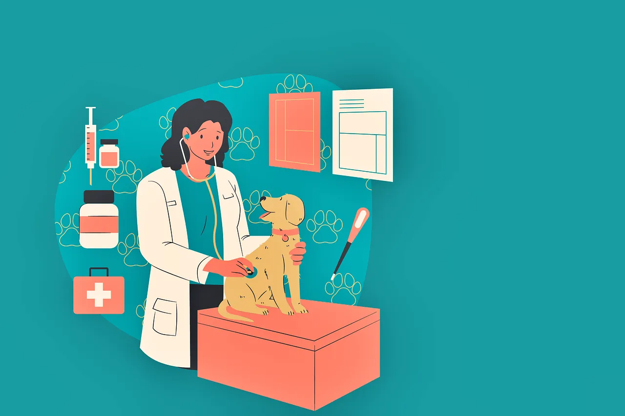 반려동물 등록과 비용, 자진신고로 과태료 피하기, 외장칩과 내장칩의 차이