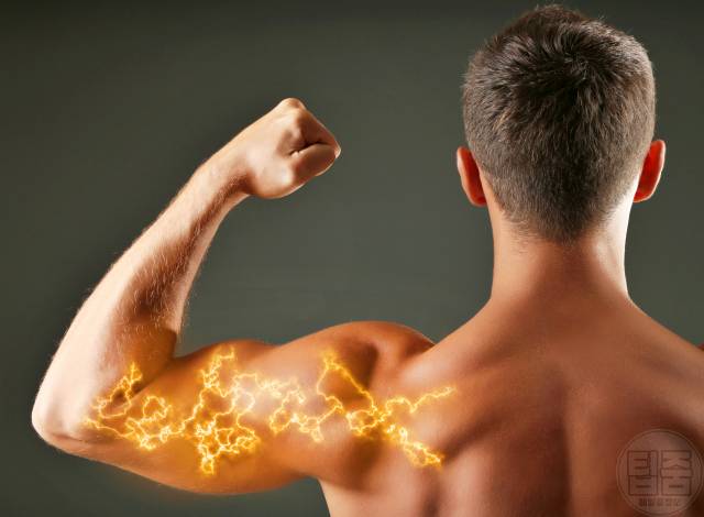 사과껍질 효능 전립선암 우르솔산,사과씻는법 식초물,사과 겉에 왁스,팁줌