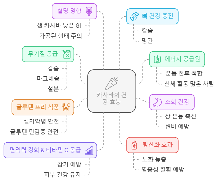 카사바 효능