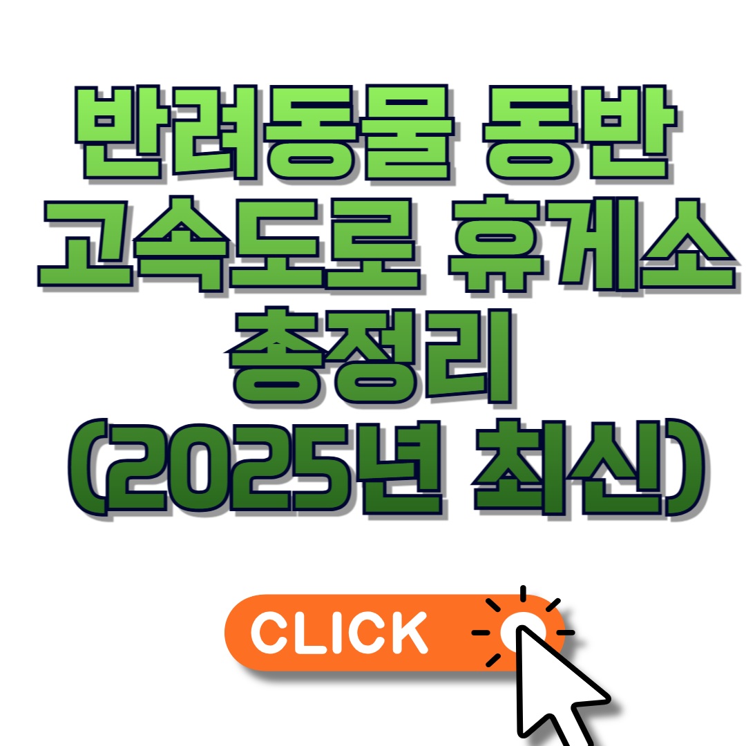 반려동물 동반 가능 고속도로 휴게소 총정리 (2025년 최신)