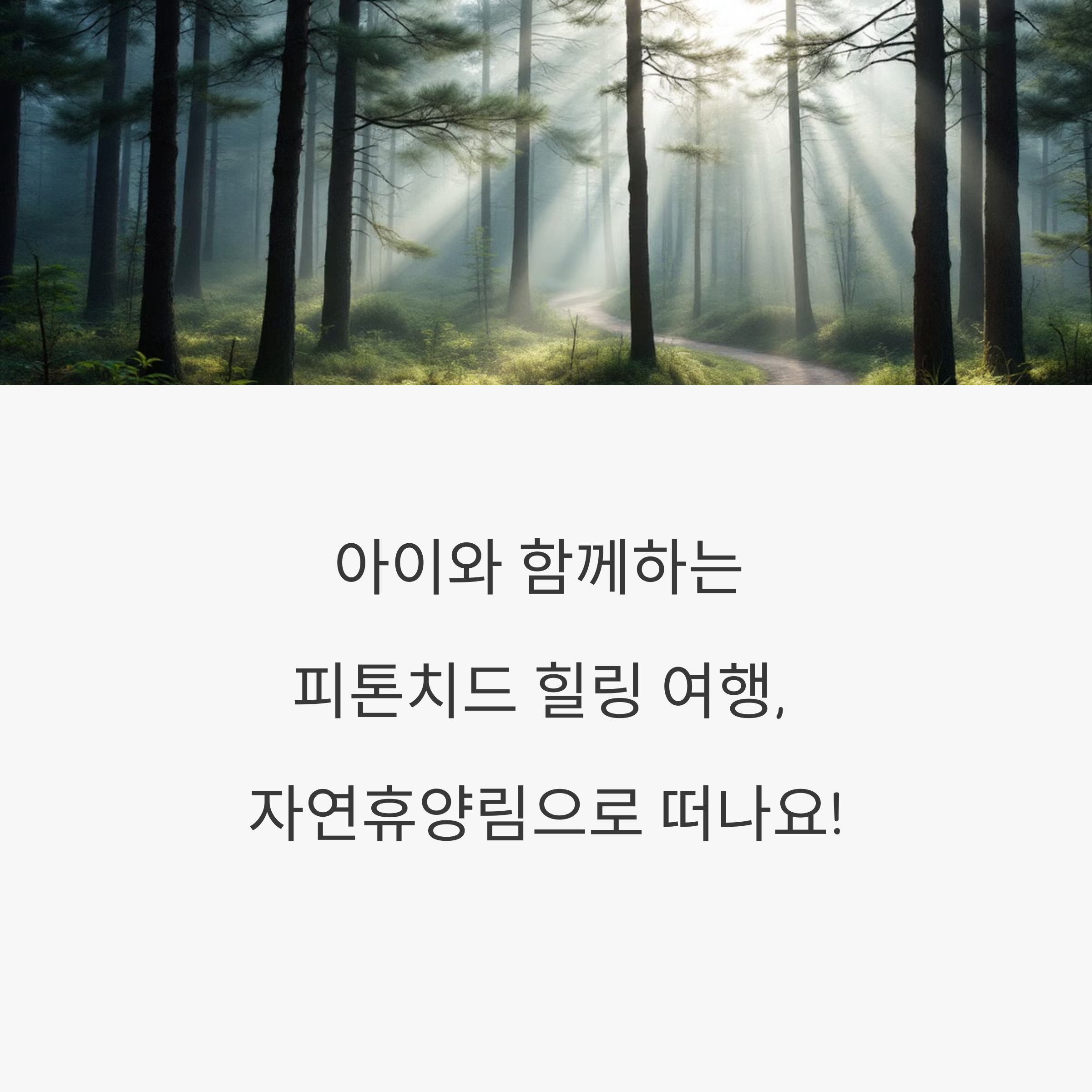 아이와 함께하는 자연휴양림, 피톤치드 제대로 누리는 법
