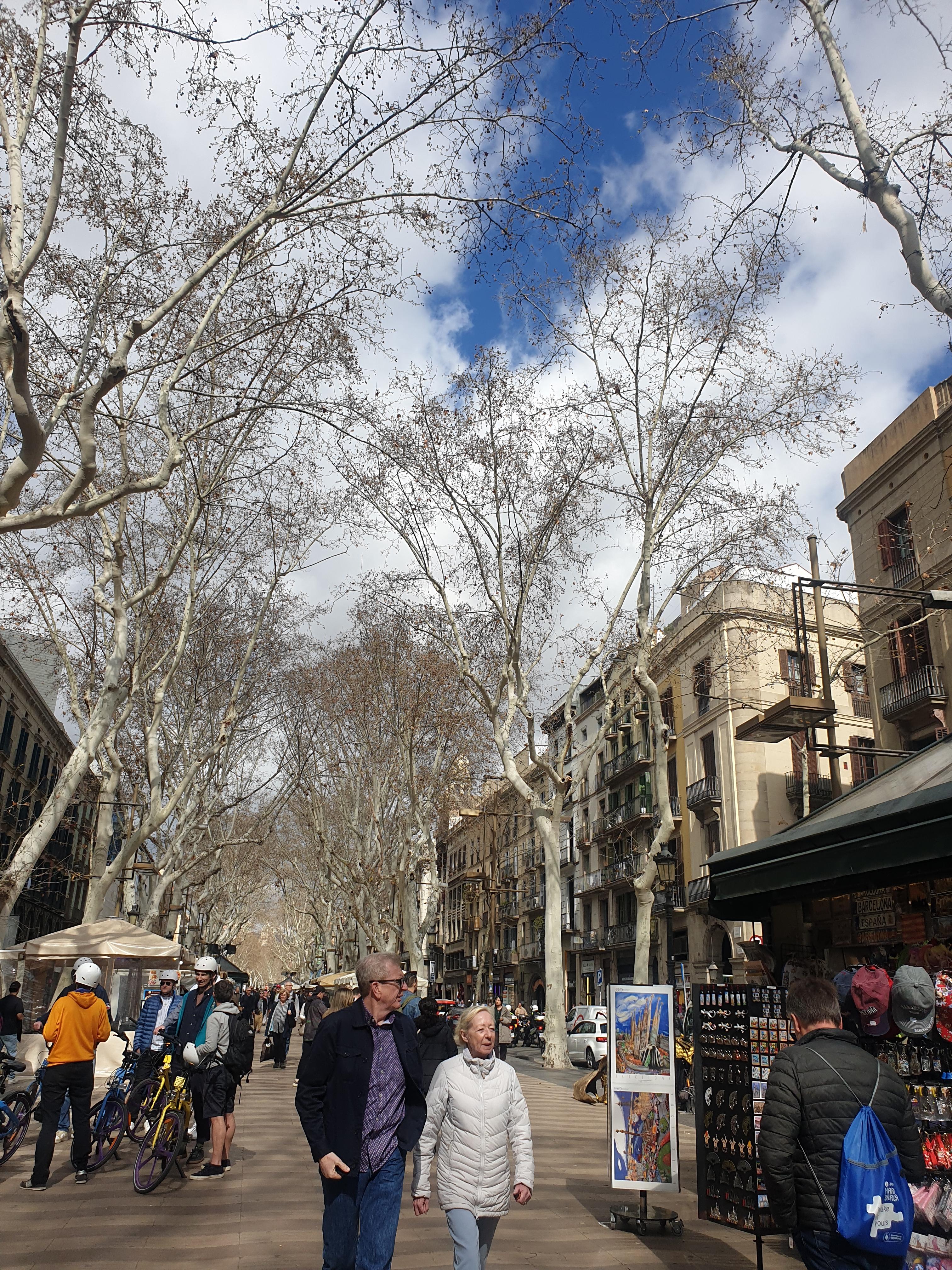 3월 바르셀로나 거리