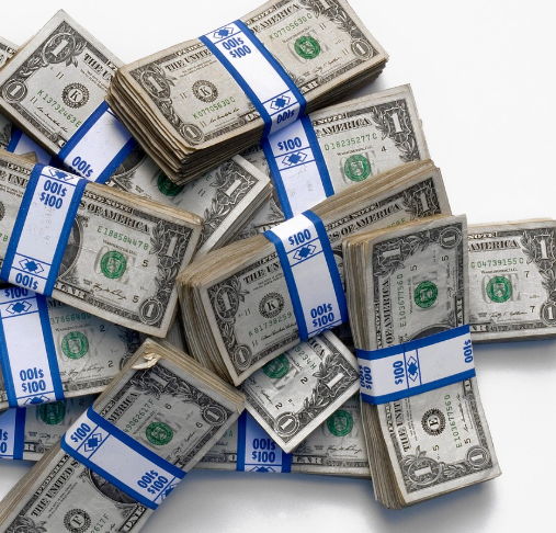 해외 배드뱅크 성공 사례와 우리의 시사점