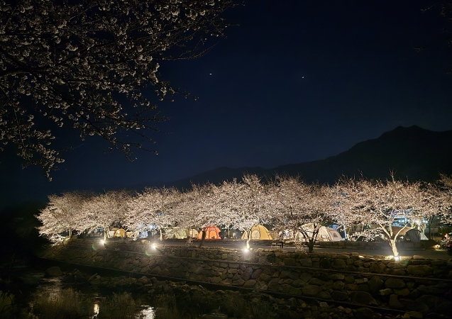 화왕산오토캠핑장