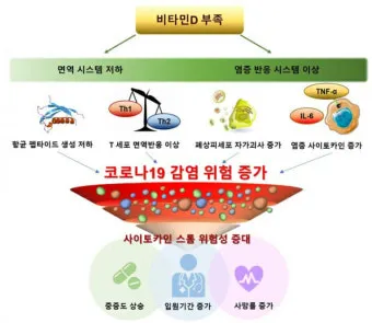 비타민D 부족증상_31
