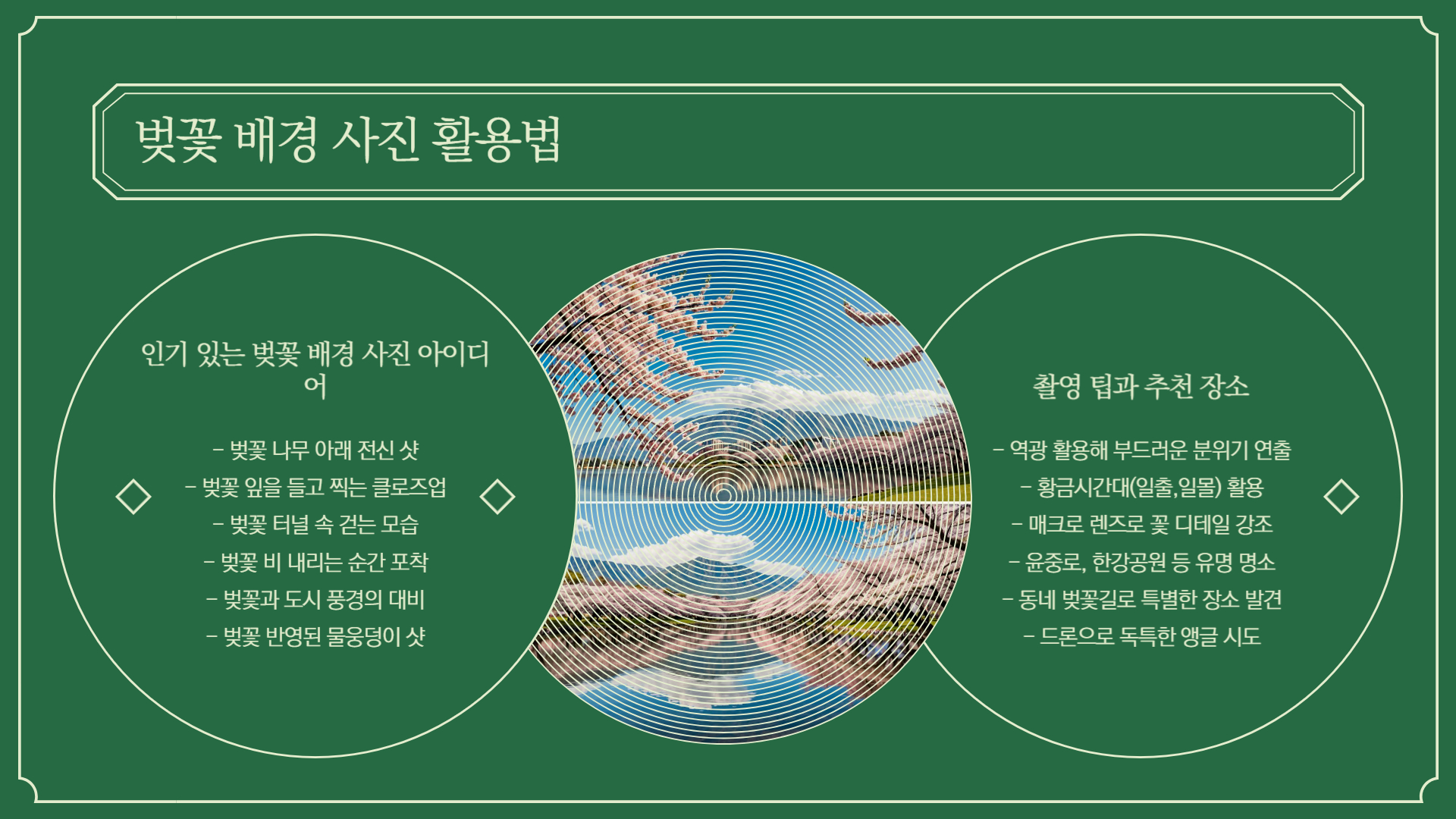 벚꽃 테마로 꾸미는 SNS 포스팅 아이디어