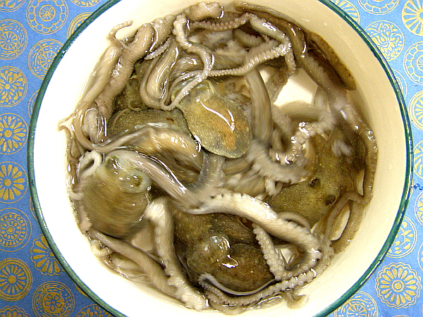 목포 맛집 독천식당