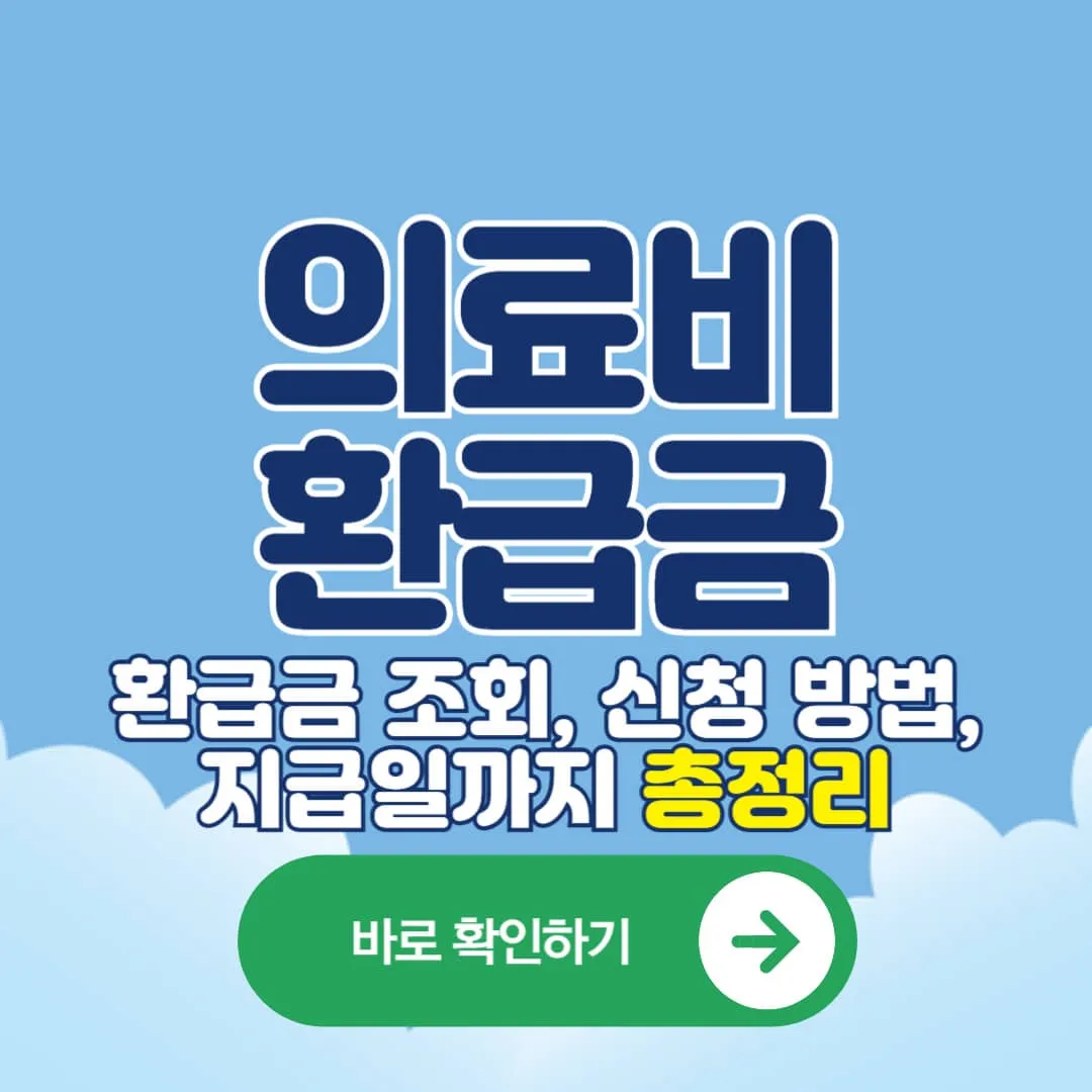 의료비 환급금 조회, 신청 방법, 지급일