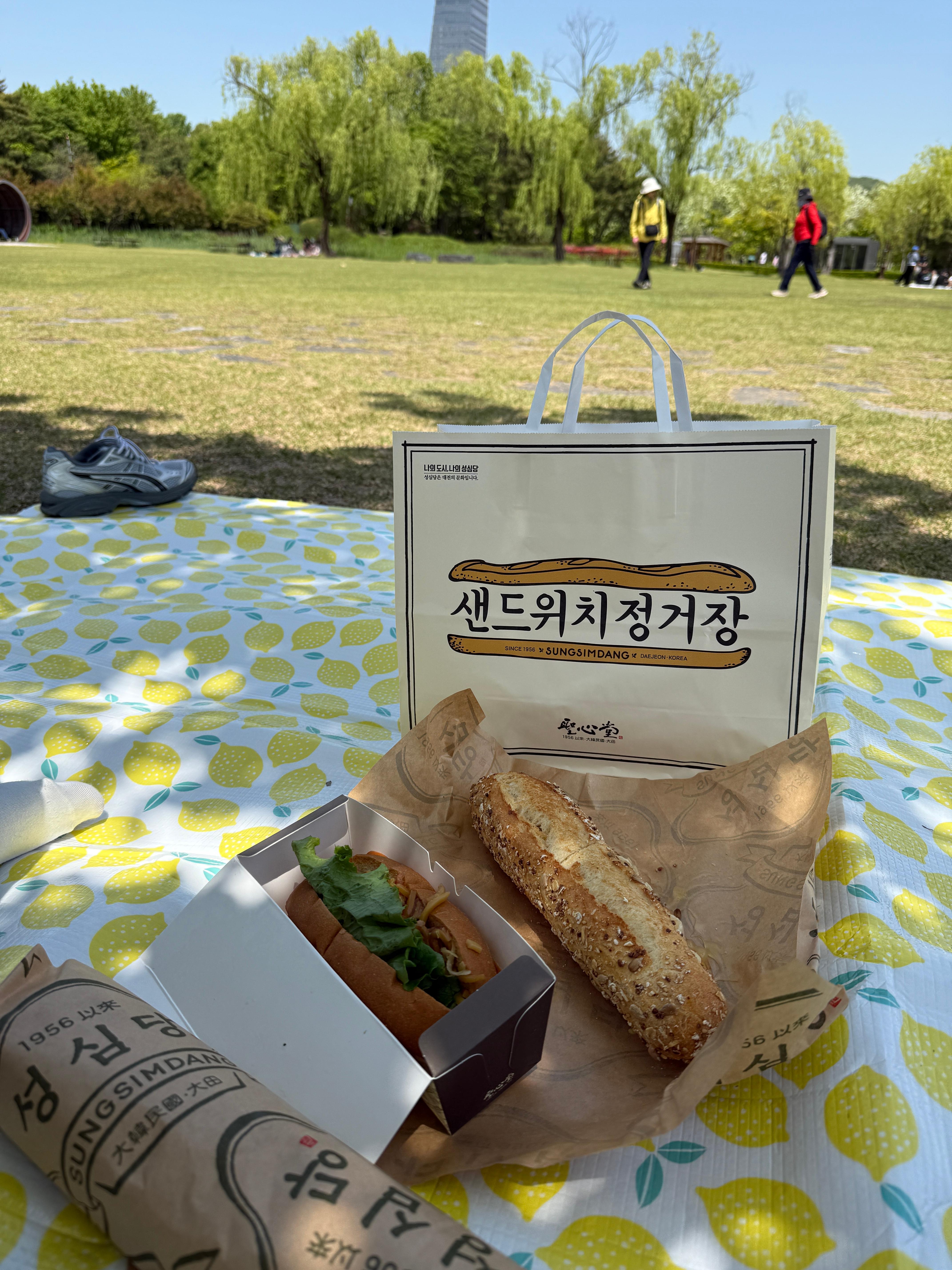 대전 성심당 샌드위치정거장 후기🥪 애플브리치즈 원픽! 한밭수목원 피크닉까지 완벽 코스