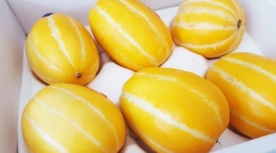 여름 제철 과일 참외 놀라운 10가지 효능과 부작용 및 참외 씨&amp;#44; 참외 껍질 효능