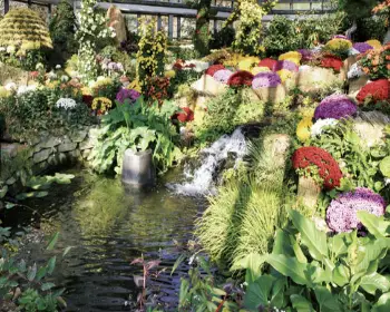 아침고요수목원_12