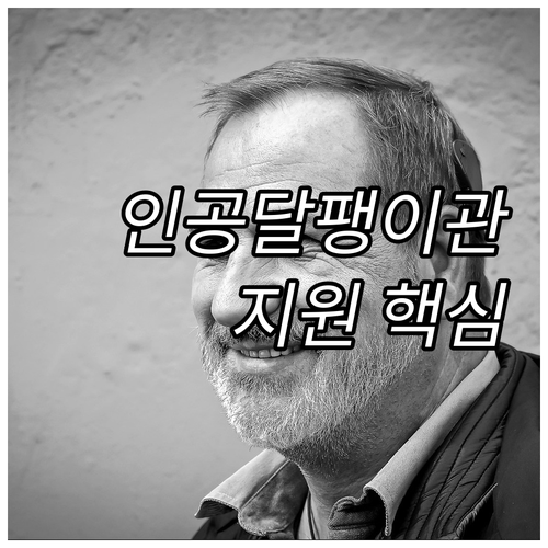 2025년 서울시 인공달팽이관 지원 ..