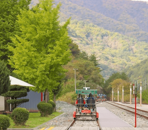삼척 가볼만한곳 베스트10