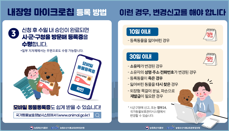 동물등록증-발급