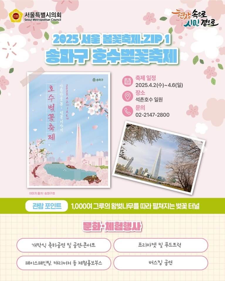 송파 호수벚꽃축제