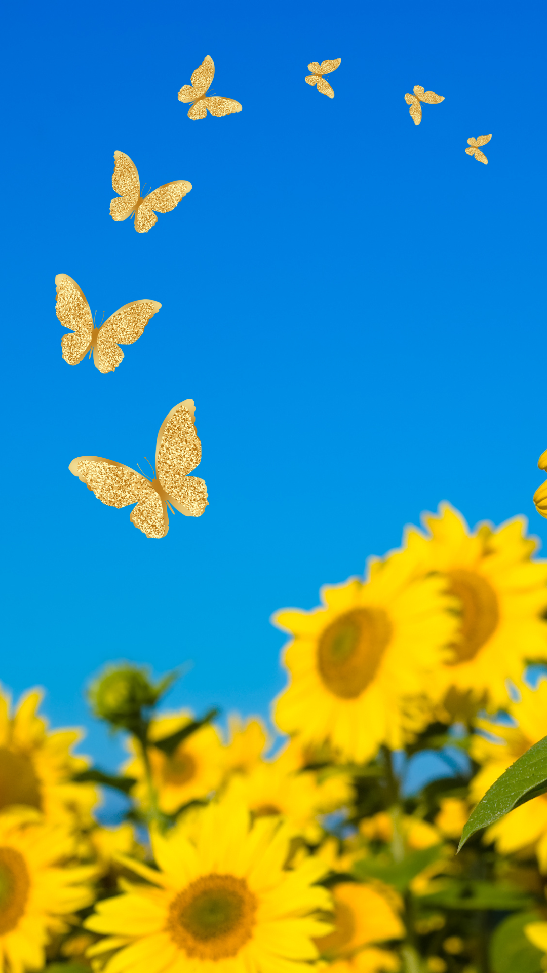 돈들어오는 그림 배경화면 사진