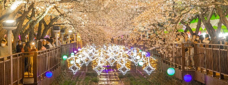 여좌천 별빛축제