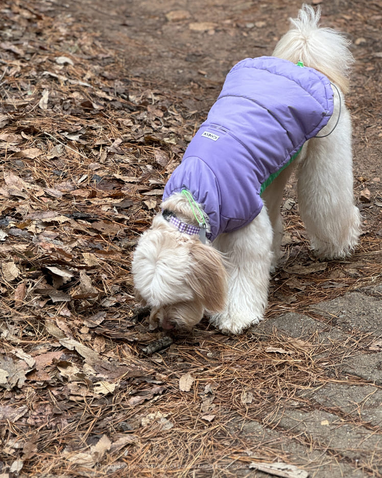 실제 착용 이미지 1