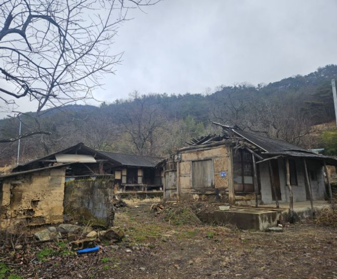 집중호우 시 행동요령 완벽 가이드