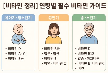 연령별 필수 비타민 사진