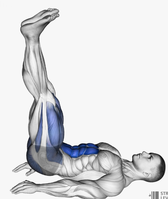 허리 근육 강화 운동 12가지 알아보기, 허리힘, 기립근