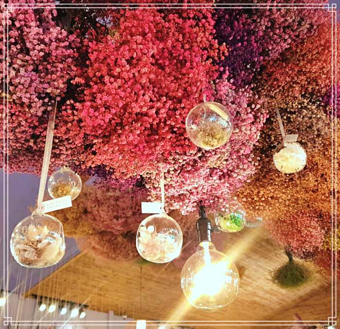 고두심이 좋아서 보령 개화예술공원 인생샷 명소, 감성플라워 꽃담은 과일 와플 디저트 카페 맛집