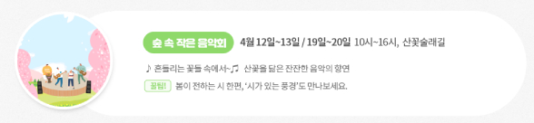 금산 보곡산골 산벚꽃 축제