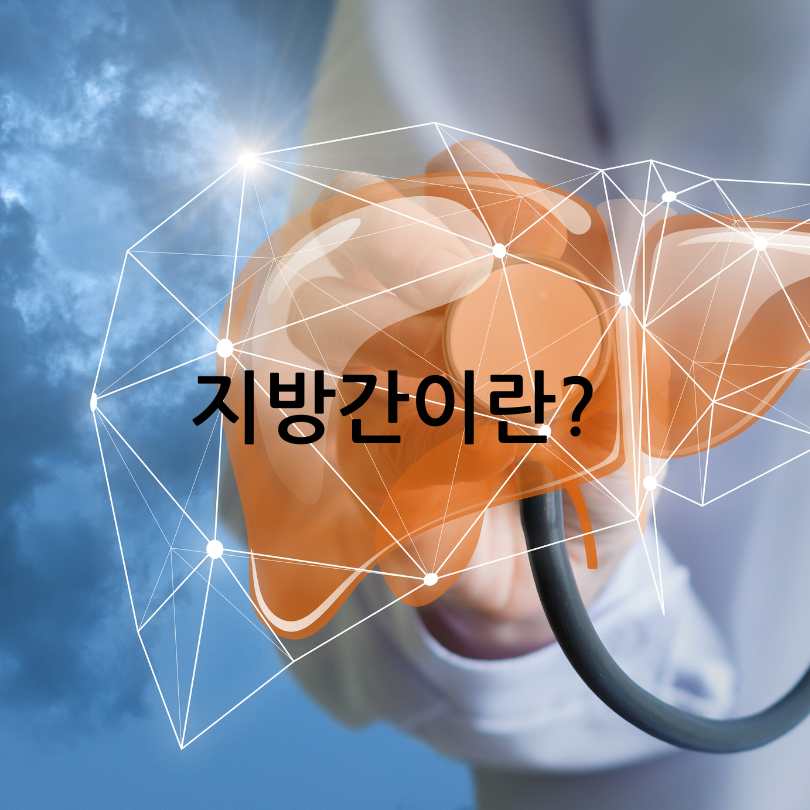 지방간에 좋은 영양제 추천 TOP 5