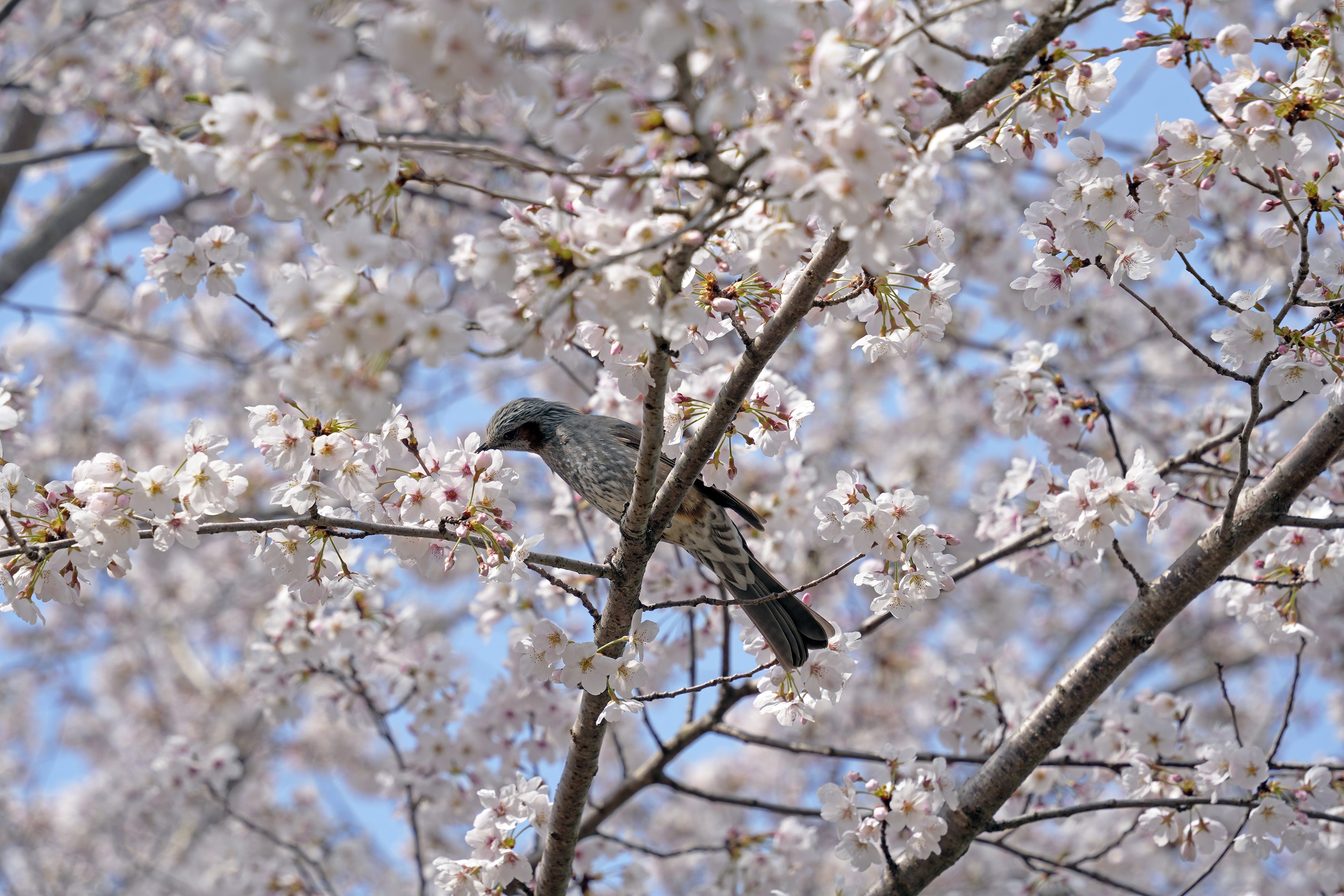 영지 둘레길 관련사진5 