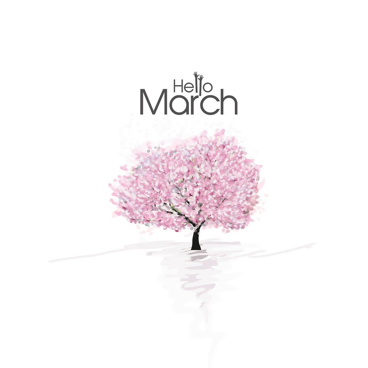 함안 낙화축제 예약 주차장 셔틀